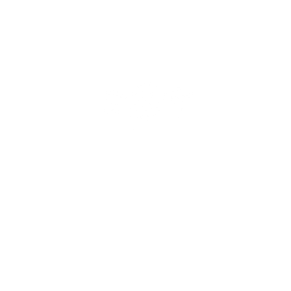 Nockta